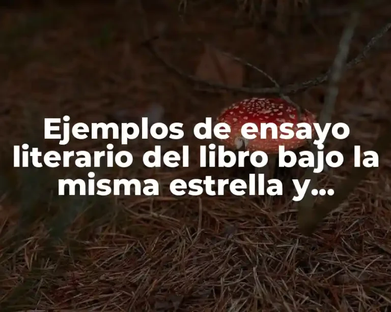 Ejemplos de ensayo literario del libro bajo la misma estrella y Significado