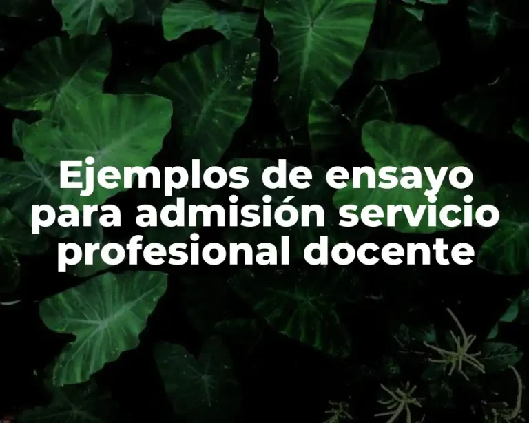Ejemplos de ensayo para admisión servicio profesional docente