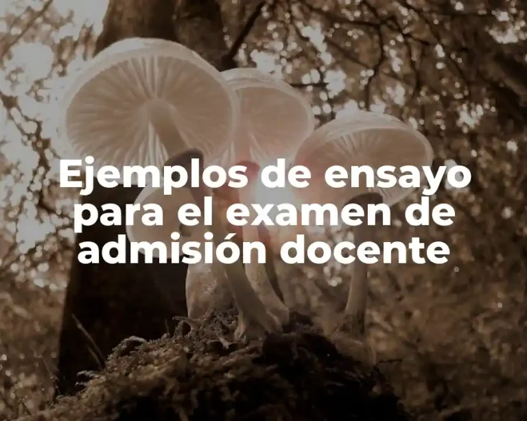 Ejemplos de ensayo para el examen de admisión docente
