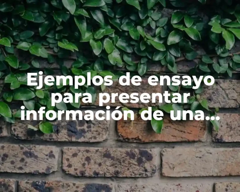 Ejemplos de ensayo para presentar información de una escuela