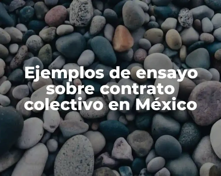 Ejemplos de ensayo sobre contrato colectivo en México