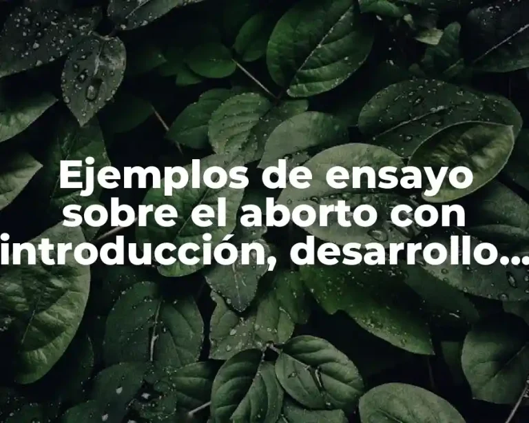 Ejemplos de ensayo sobre el aborto con introducción, desarrollo y conclusión y Significado