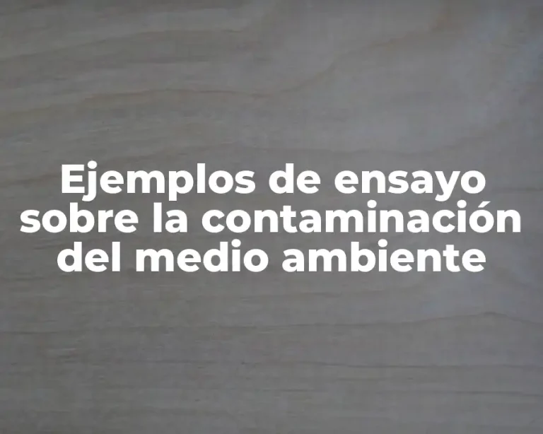 Ejemplos de ensayo sobre la contaminación del medio ambiente
