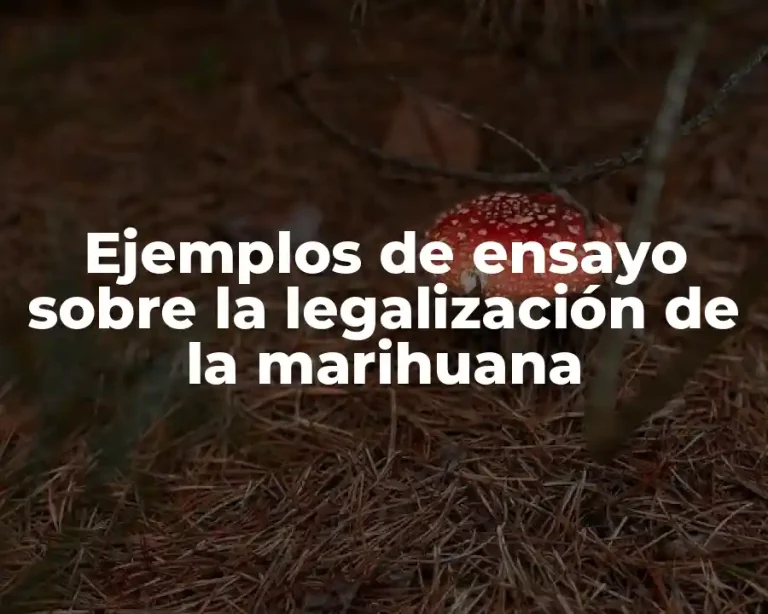 Ejemplos de ensayo sobre la legalización de la marihuana