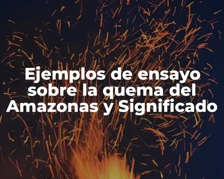 Ejemplos de ensayo sobre la quema del Amazonas y Significado