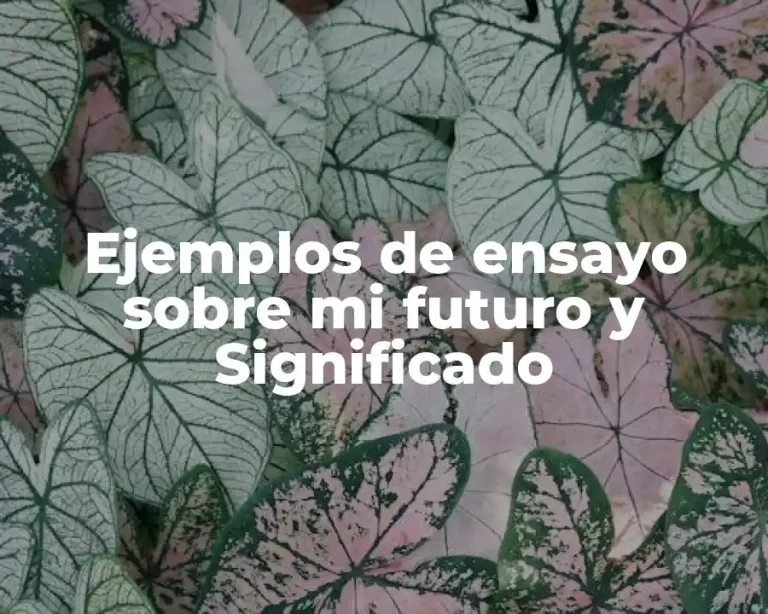 Ejemplos de ensayo sobre mi futuro y Significado
