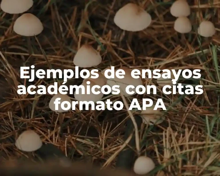 Ejemplos de ensayos académicos con citas formato APA