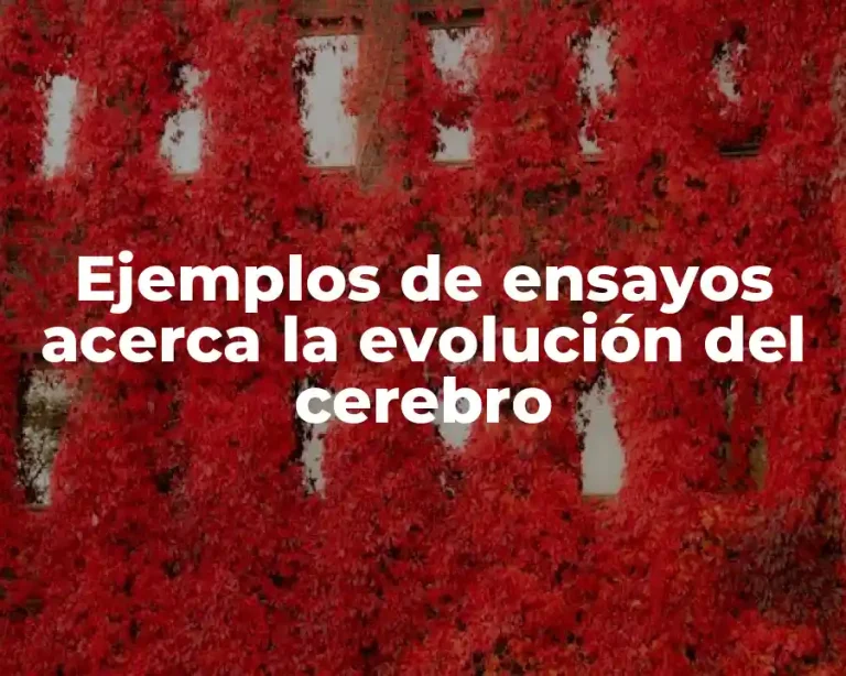 Ejemplos de ensayos acerca la evolución del cerebro