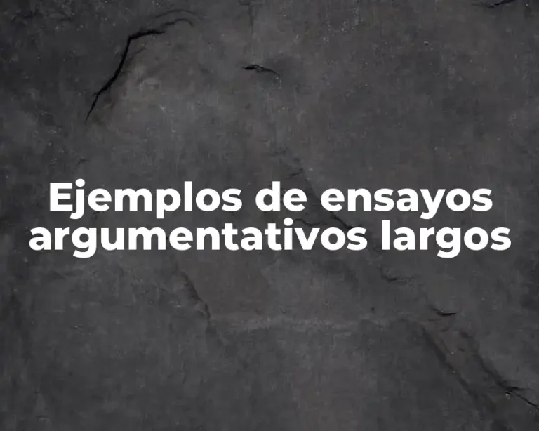Ejemplos de ensayos argumentativos largos