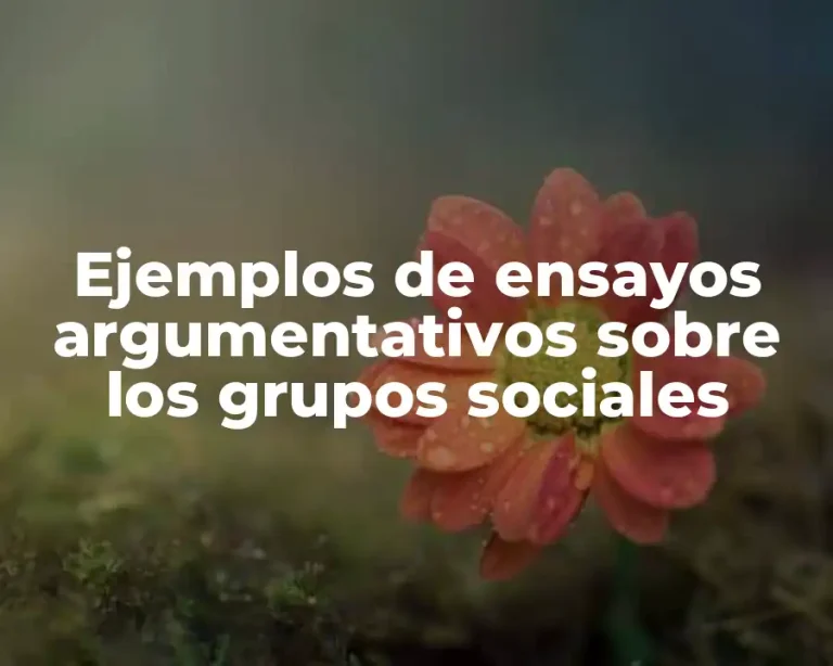 Ejemplos de ensayos argumentativos sobre los grupos sociales