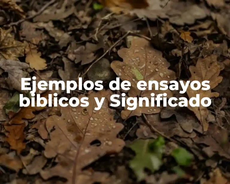 Ejemplos de ensayos biblicos y Significado
