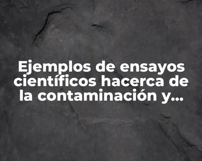 Ejemplos de ensayos científicos hacerca de la contaminación y Significado