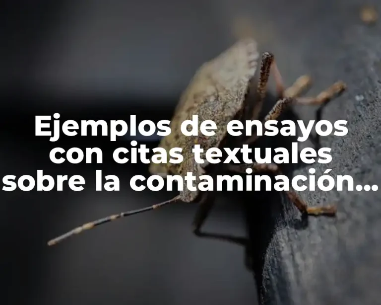 Ejemplos de ensayos con citas textuales sobre la contaminación ambiental