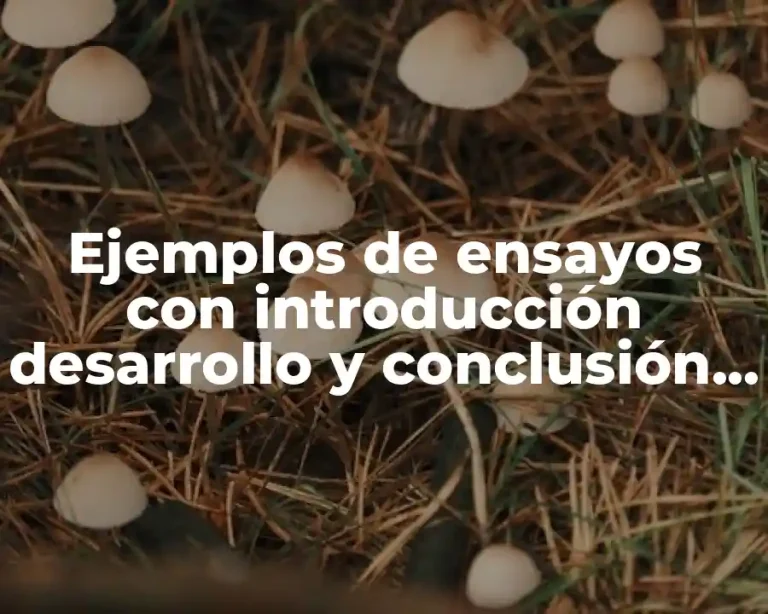 Ejemplos de ensayos con introducción desarrollo y conclusión y Significado