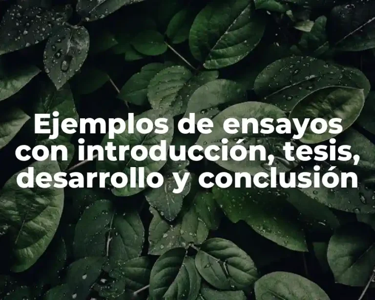 Ejemplos de ensayos con introducción, tesis, desarrollo y conclusión