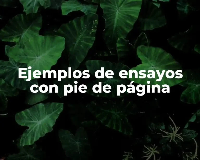 Ejemplos de ensayos con pie de página