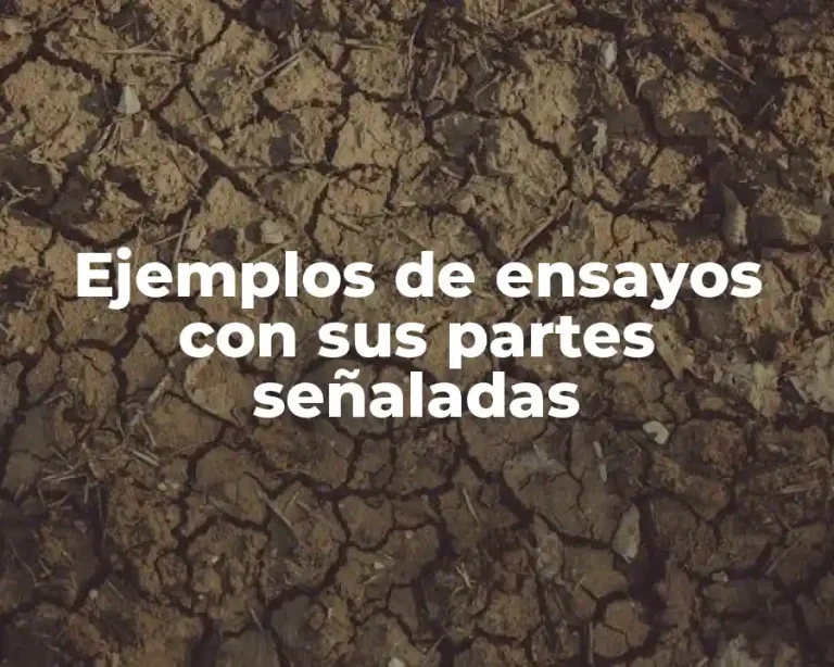 Ejemplos de ensayos con sus partes señaladas