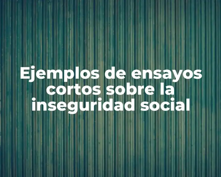 Ejemplos de ensayos cortos sobre la inseguridad social