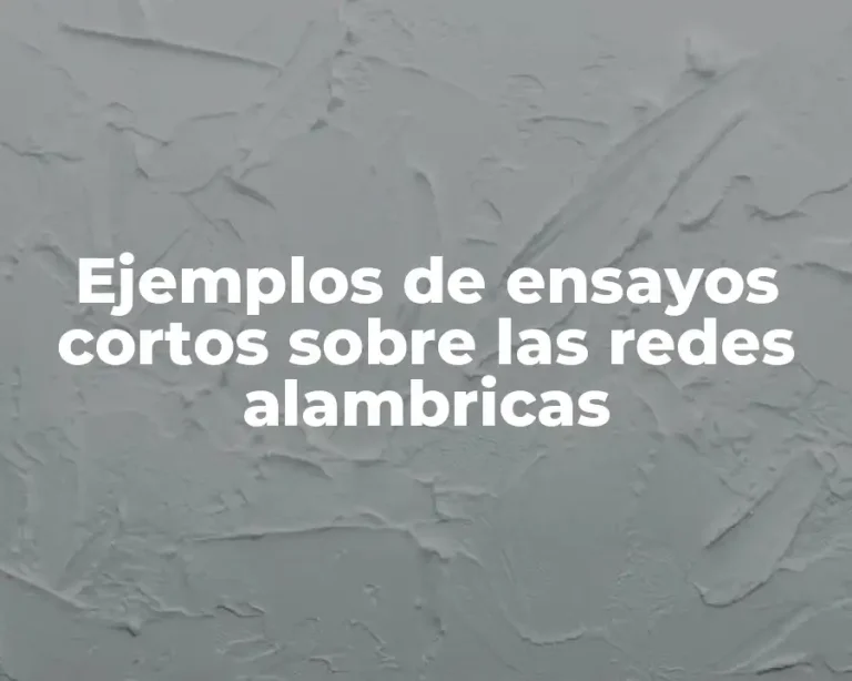 Ejemplos de ensayos cortos sobre las redes alambricas