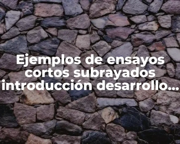 Ejemplos de ensayos cortos subrayados introducción desarrollo y conclusión