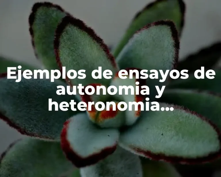 Ejemplos de ensayos de autonomia y heteronomia interpersonales y sexualidad y Significado