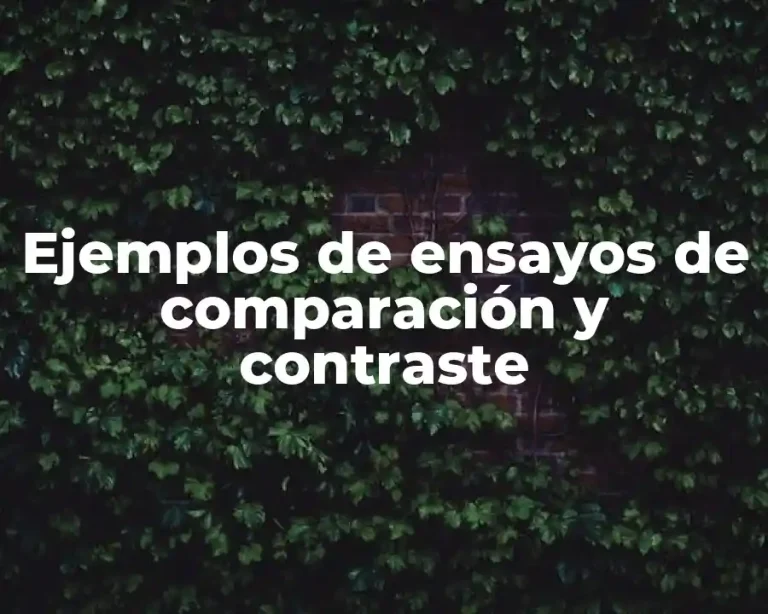 Ejemplos de ensayos de comparación y contraste