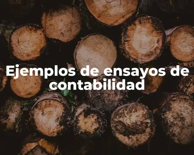 Ejemplos de ensayos de contabilidad