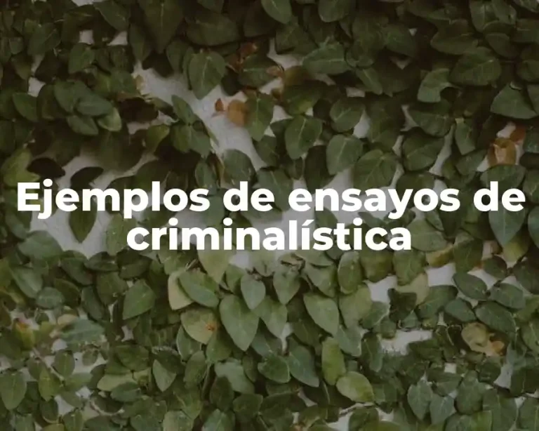 Ejemplos de ensayos de criminalística