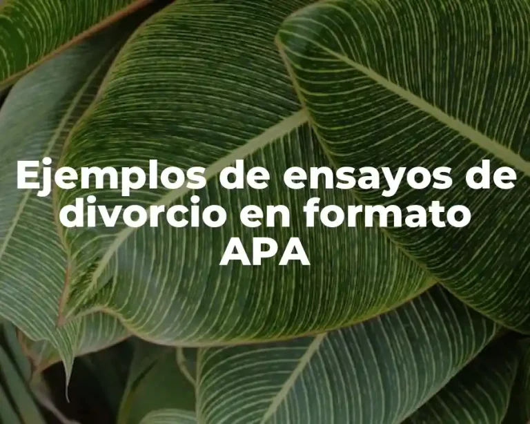 Ejemplos de ensayos de divorcio en formato APA