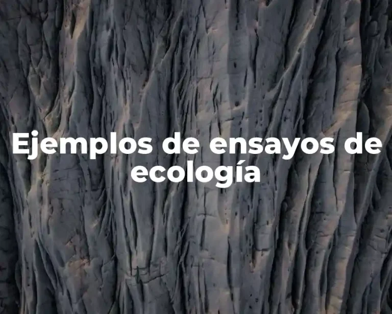 Ejemplos de ensayos de ecología