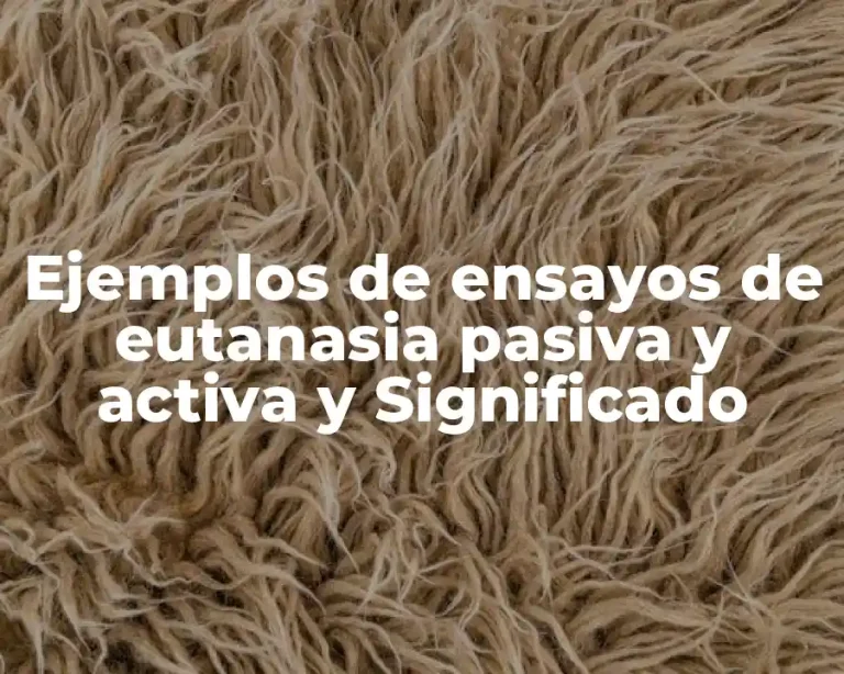Ejemplos de ensayos de eutanasia pasiva y activa y Significado