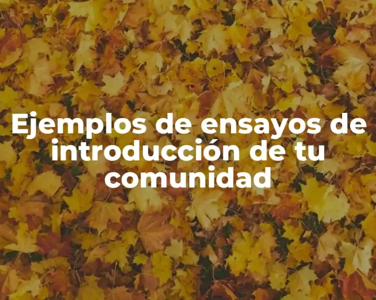 Ejemplos de ensayos de introducción de tu comunidad