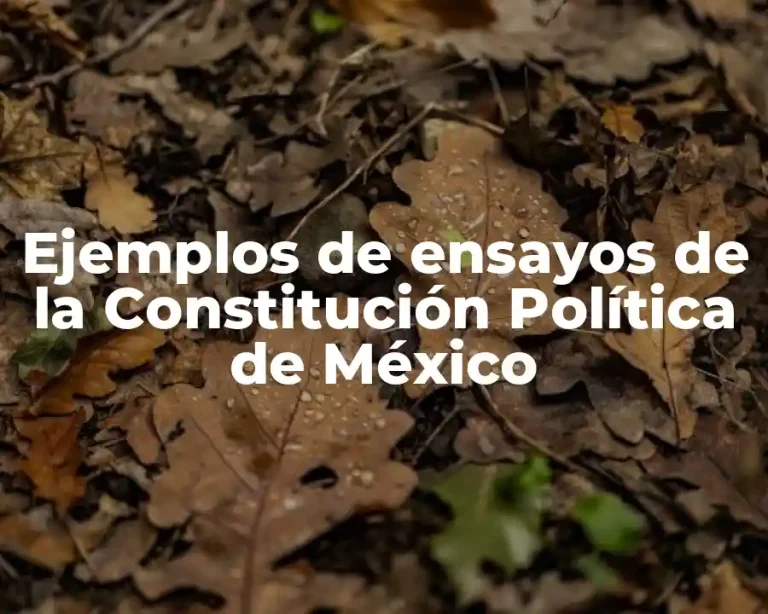 Ejemplos de ensayos de la Constitución Política de México