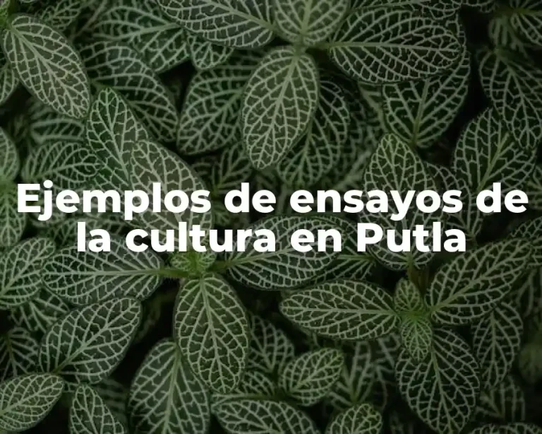Ejemplos de ensayos de la cultura en Putla
