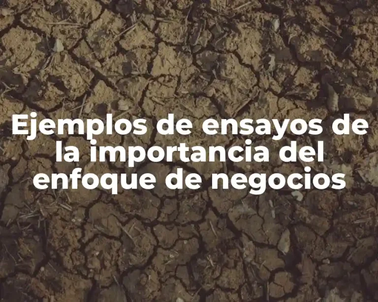 Ejemplos de ensayos de la importancia del enfoque de negocios