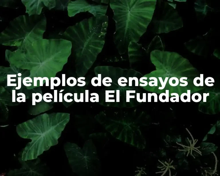 Ejemplos de ensayos de la película El Fundador