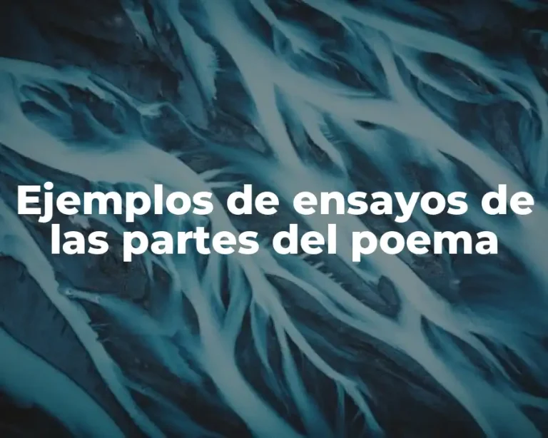 Ejemplos de ensayos de las partes del poema