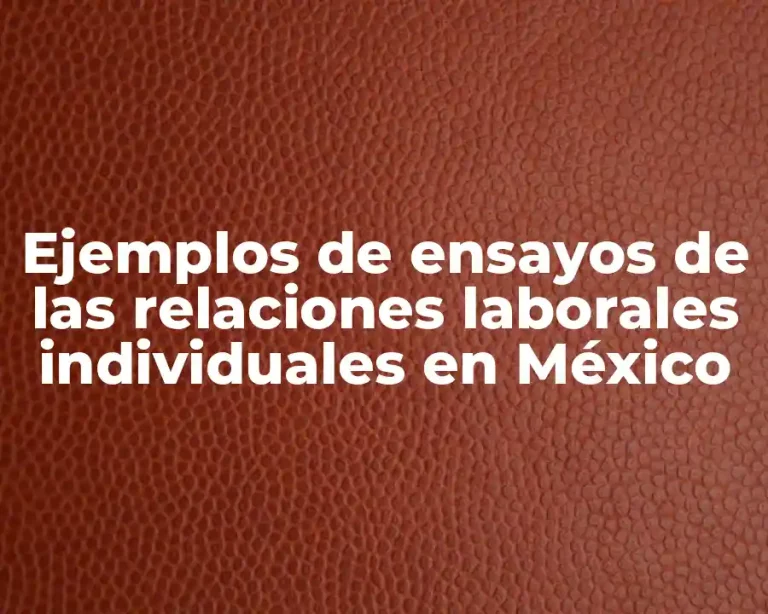 Ejemplos de ensayos de las relaciones laborales individuales en México