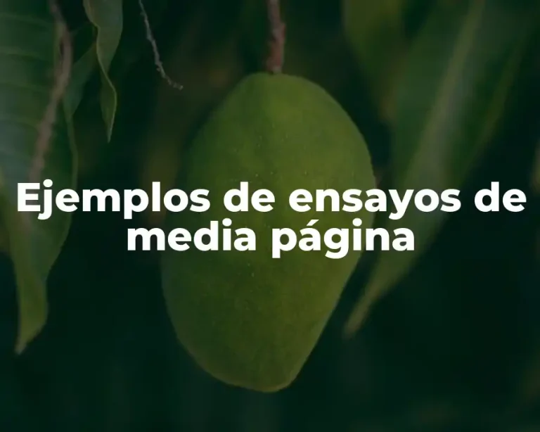 Ejemplos de ensayos de media página