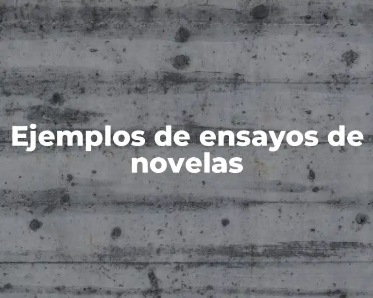 Ejemplos de ensayos de novelas