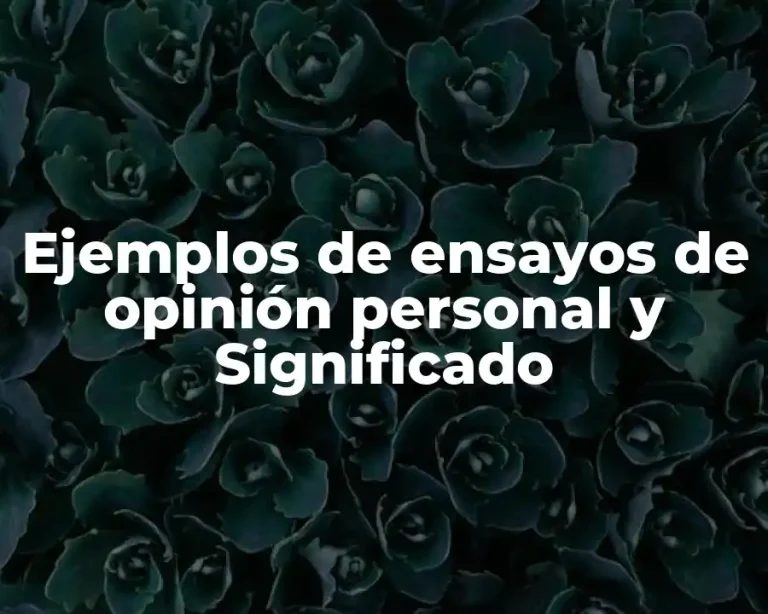 Ejemplos de ensayos de opinión personal y Significado