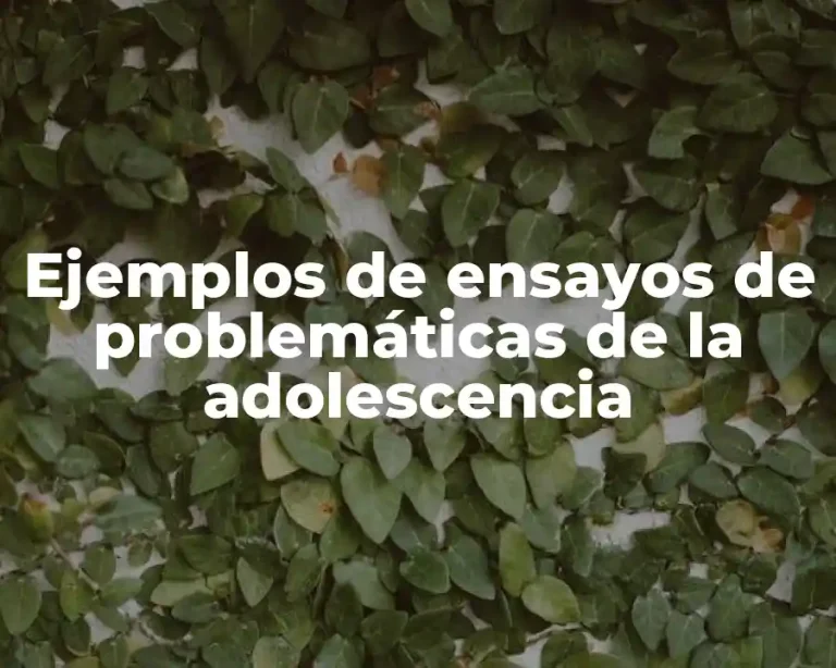 Ejemplos de ensayos de problemáticas de la adolescencia
