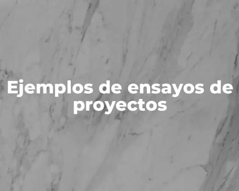Ejemplos de ensayos de proyectos