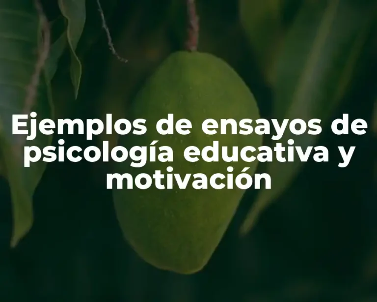 Ejemplos de ensayos de psicología educativa y motivación