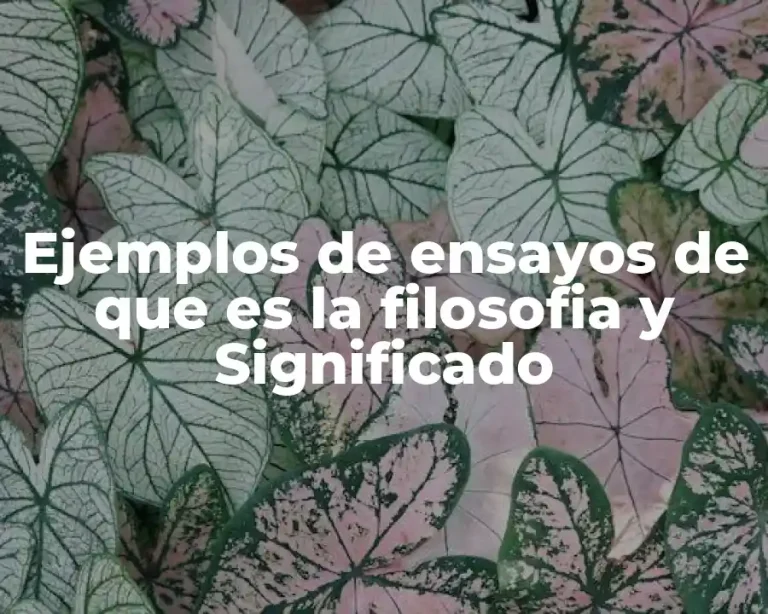 Ejemplos de ensayos de que es la filosofia y Significado