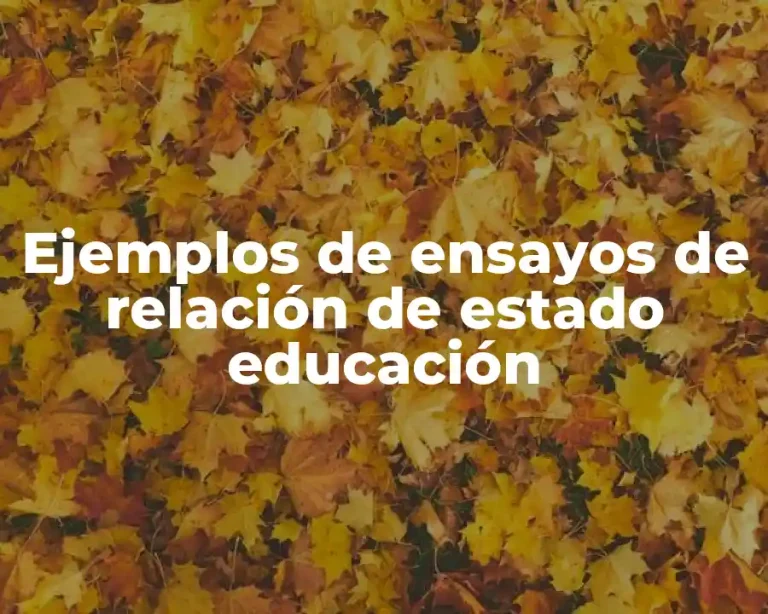 Ejemplos de ensayos de relación de estado educación