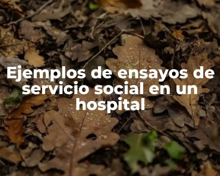 Ejemplos de ensayos de servicio social en un hospital