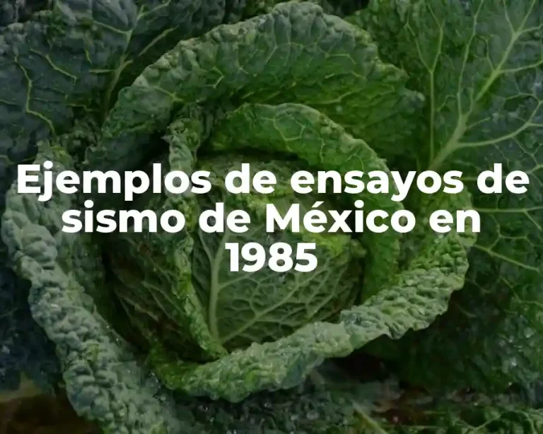 Ejemplos de ensayos de sismo de México en 1985
