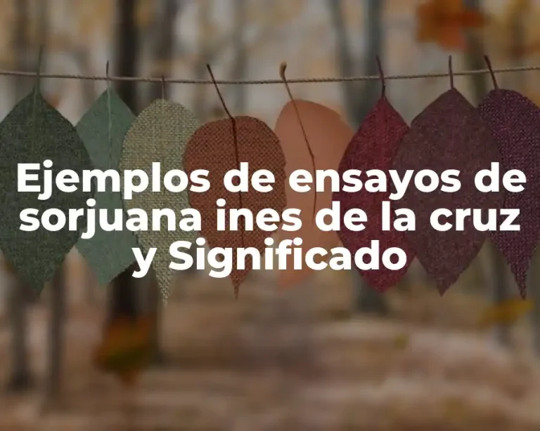 Ejemplos de ensayos de sorjuana ines de la cruz y Significado