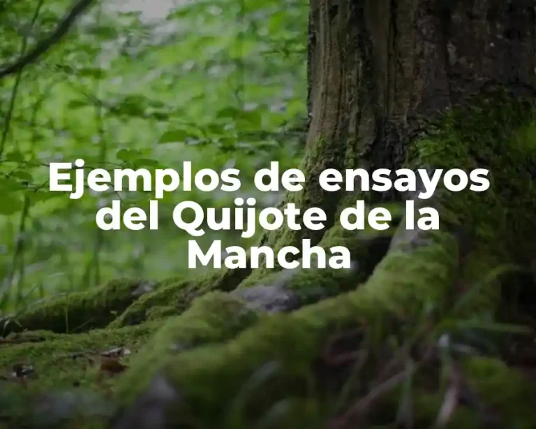 Ejemplos de ensayos del Quijote de la Mancha